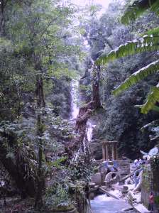 Caída principal de cascada en Xilitla